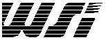 Waferscale Integration, WSI Bild Logo des Unternehmens
